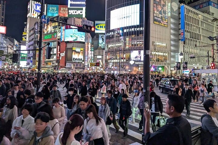 Private Tokyo Night Tour by Private Bus — photo 4