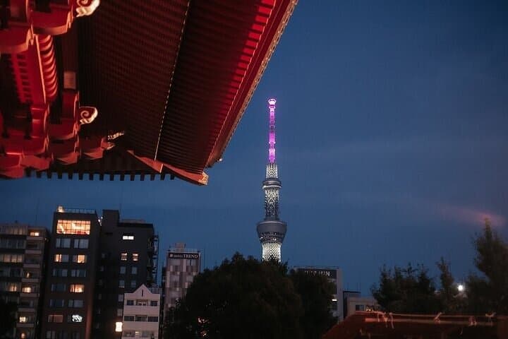 Private Tokyo Night Tour by Private Bus — photo 7