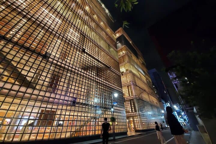 Private Tokyo Night Tour by Private Bus — photo 10