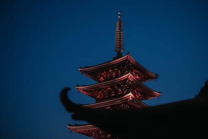 Private Tokyo Night Tour by Private Bus — photo 12
