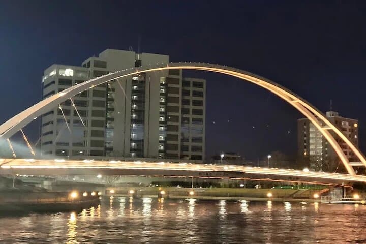 Private Tokyo Night Tour by Private Bus — photo 17