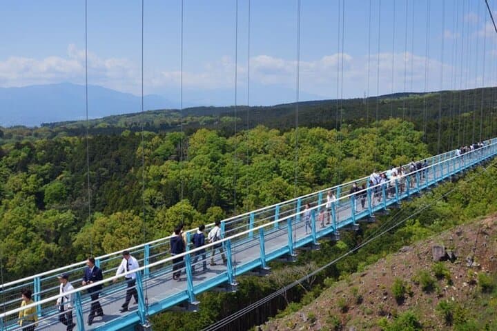 Mishima Skywalk Entry: Walk Among the Clouds — photo 2