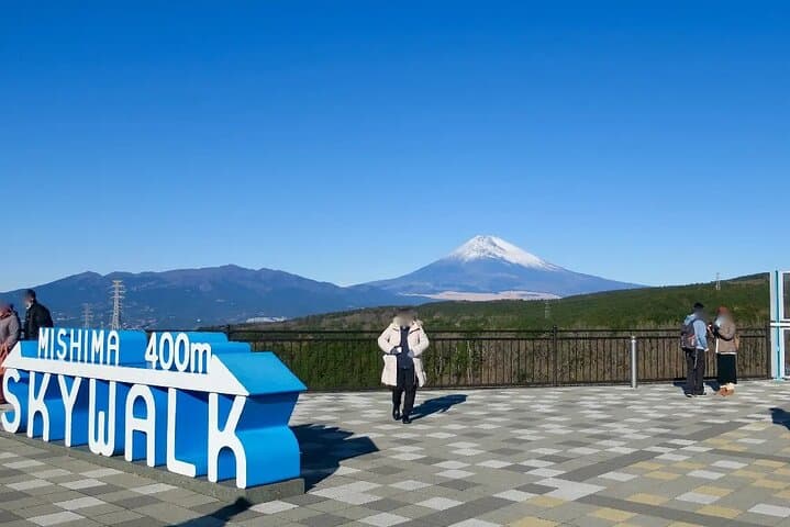 Mishima Skywalk Entry: Walk Among the Clouds — photo 6
