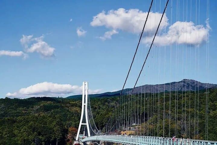 Mishima Skywalk Entry: Walk Among the Clouds — photo 7