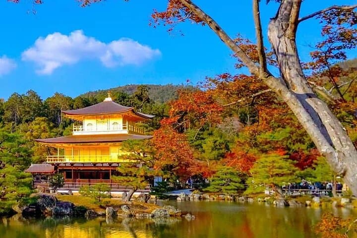 Kyoto and Nara Private Customizable Day Trip by Luxury Car — photo 3