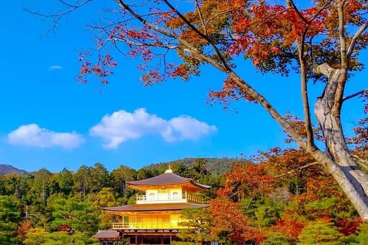 Kyoto and Nara Private Customizable Day Trip by Luxury Car — photo 7