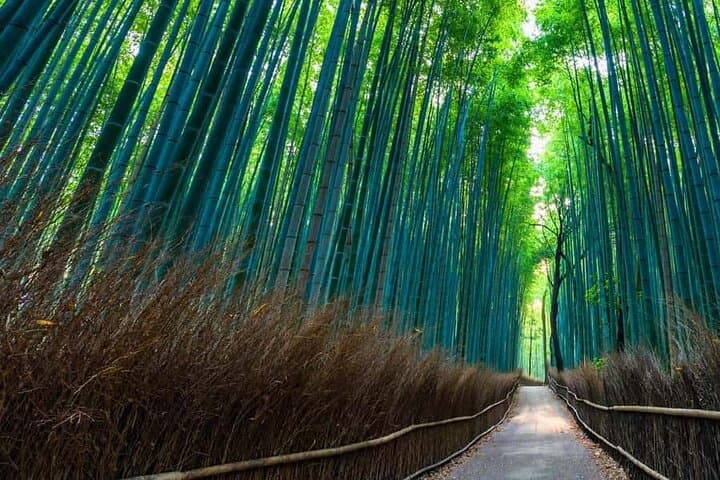 Kyoto and Nara Private Customizable Day Trip by Luxury Car — photo 5