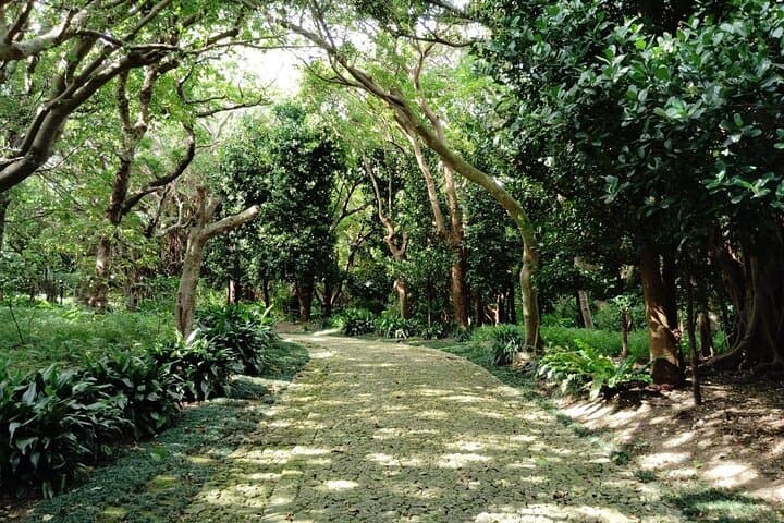 Naha: Walk Through Shikinaen, a Historic Royal Garden — photo 3