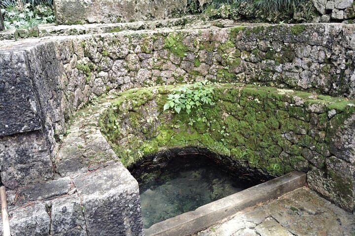 Naha: Walk Through Shikinaen, a Historic Royal Garden — photo 14