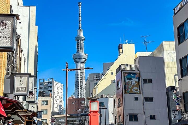 4 Days Mini Group Japan Tour of Tokyo Hakone Mount Fuji in Tokyo — photo 6