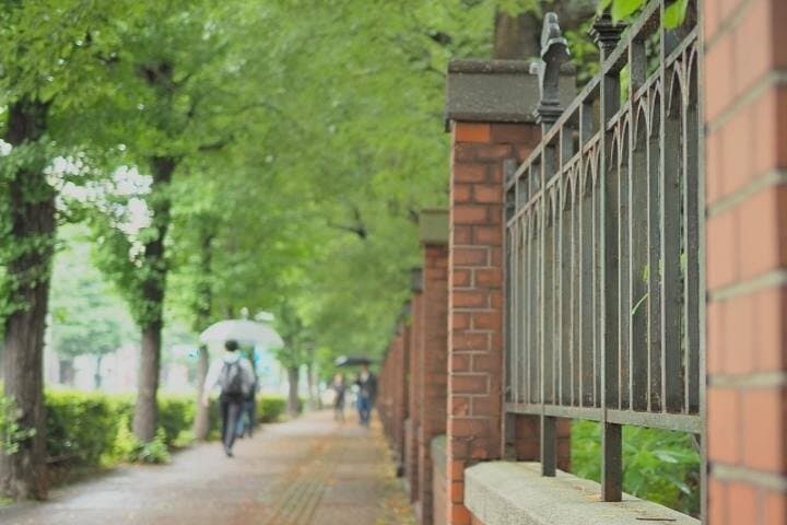 Explore Japan’s Oldest University by a Walking Tour