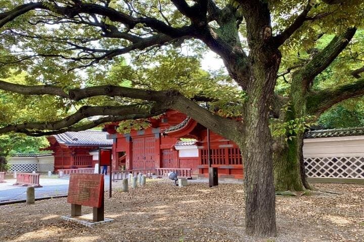 Explore Japan’s Oldest University by a Walking Tour — photo 4