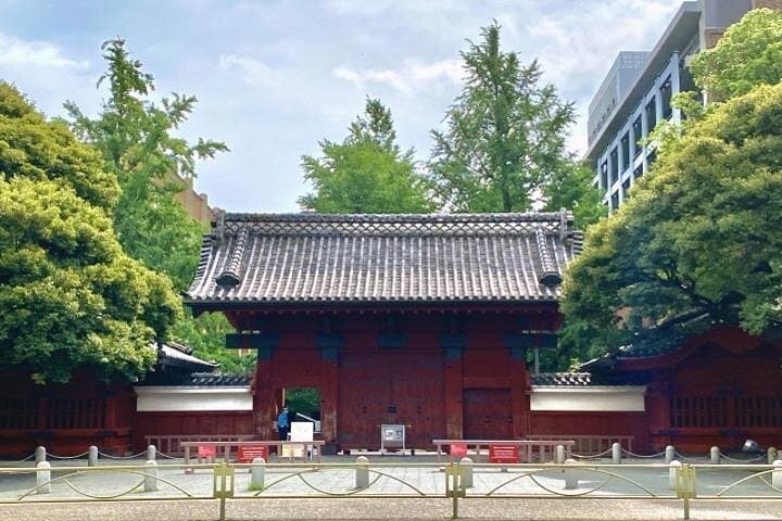 Explore Japan’s Oldest University by a Walking Tour — photo 2