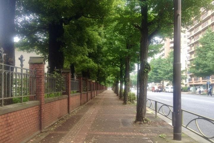 Explore Japan’s Oldest University by a Walking Tour — photo 3