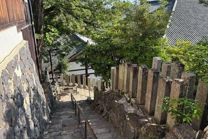 Nara Highlight Walking Tour with Furoshiki Experience with Lunch — photo 16
