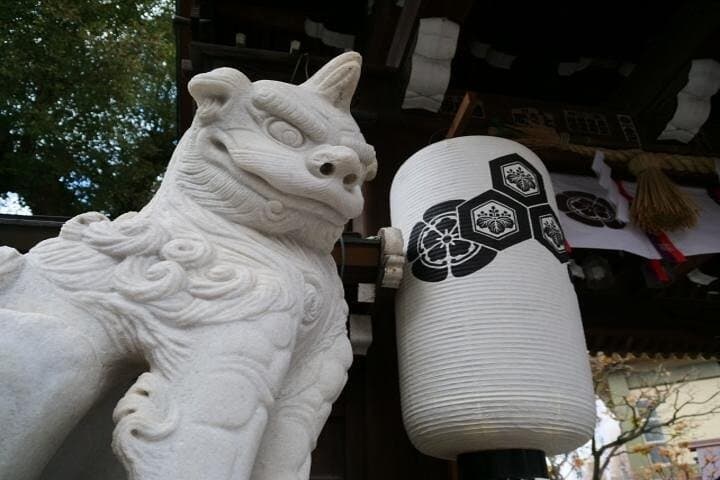 Experience Japan Spirit in Hakata Temple Town — photo 3