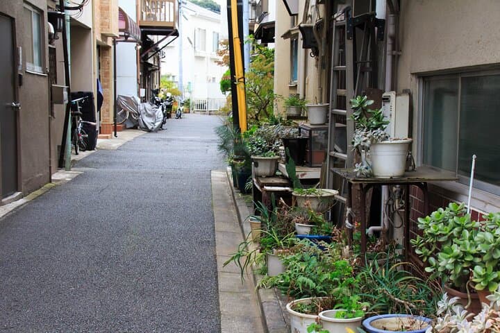 Lucky Cats Temple & Old Tokyo Yanaka 1/2-Day Walking Private Tour — photo 15