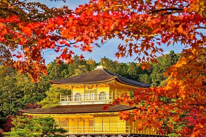 Most Popular Kyoto and Nara Day Trip to Torii Gates and Temples — photo 1