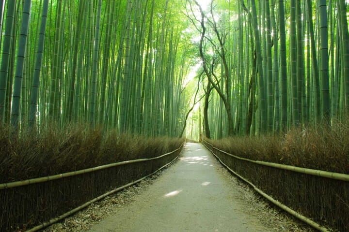 Most Popular Kyoto and Nara Day Trip to Torii Gates and Temples — photo 18