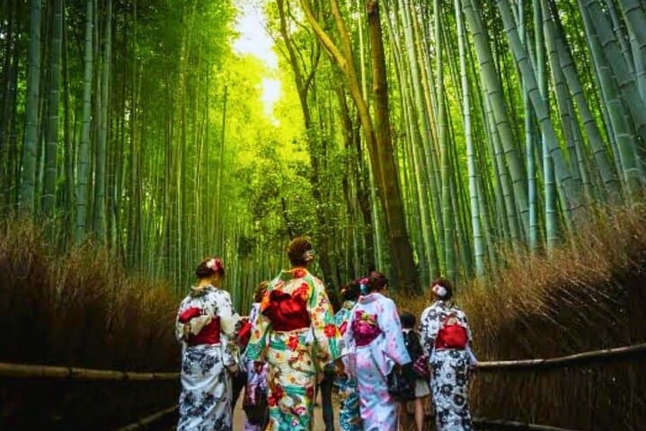 Experience the Wonders of Japan in One Day — photo 6