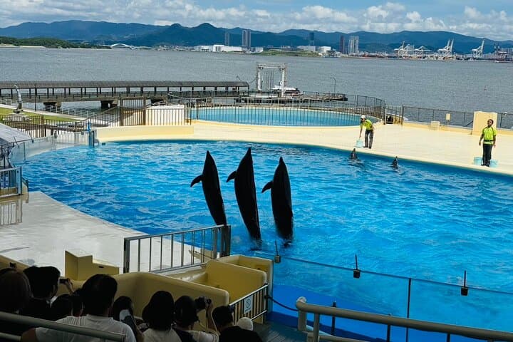 Personalized Fukuoka Experience: Explore, Taste & Discover — photo 13