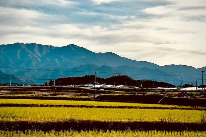 Personalized Fukuoka Experience: Explore, Taste & Discover — photo 18