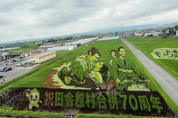 Rice Paddy Art and Apple Picking Full day Private Tour — photo 2