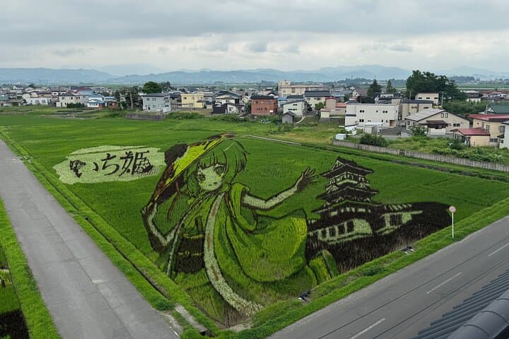 Rice Paddy Art Half day tour in Aomori — photo 3