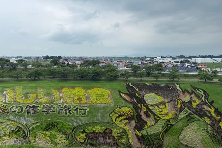 Rice Paddy Art and Apple Picking Full day Private Tour — photo 5