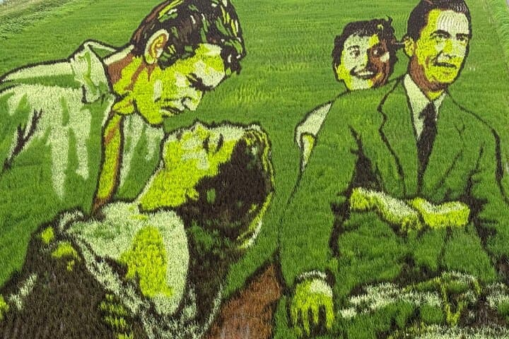 Rice Paddy Art and Apple Picking Full day Private Tour — photo 3