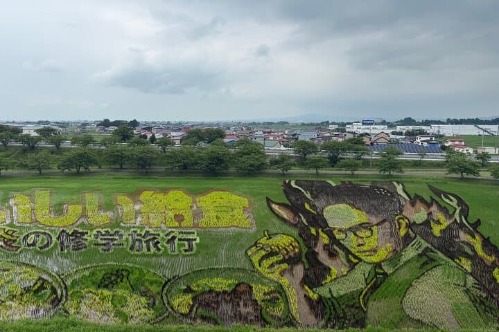 Rice Paddy Art Half day tour in Aomori — photo 4