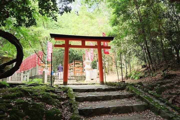 Nara and kyoto adventures private vehicle tour — photo 3