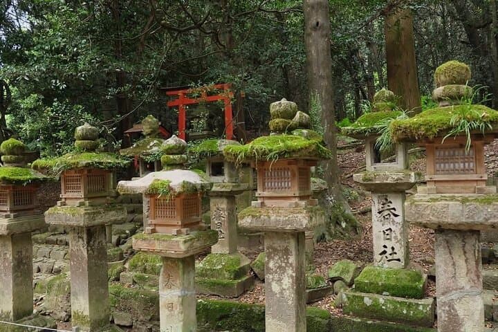 Nara and kyoto adventures private vehicle tour — photo 5
