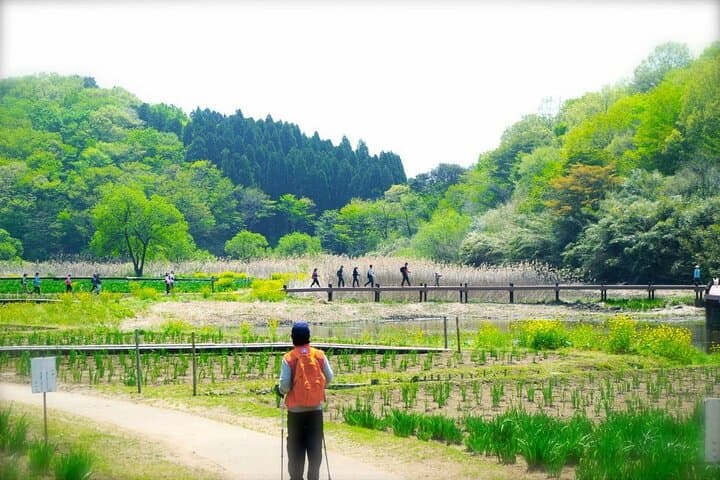 Lake Shidaka and Lake Kagurame Nordic Walking Tour — photo 4