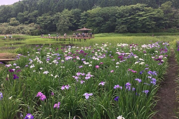 Lake Shidaka and Lake Kagurame Nordic Walking Tour — photo 6