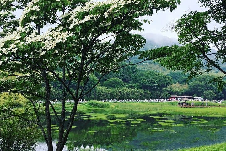 Lake Shidaka and Lake Kagurame Nordic Walking Tour — photo 7