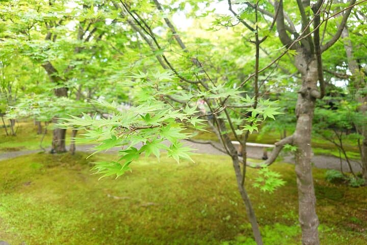 Iiyama Temple and Sake Brewery Day Trip from Nagano — photo 14