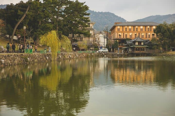 Osaka＆Nara Private Highlights Customizable Tour English Driver — photo 14