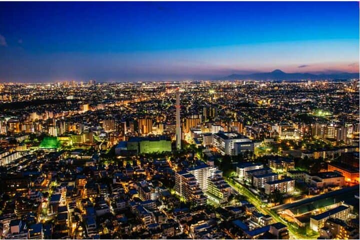 Tokyo Tower Sunset Shared Tour — photo 14