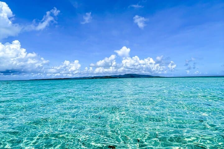 Fishing experience on a private small boat on Ishigaki Island - Meet empty-handed!Fish.Let's eat.~ 【1 day course】 — photo 6