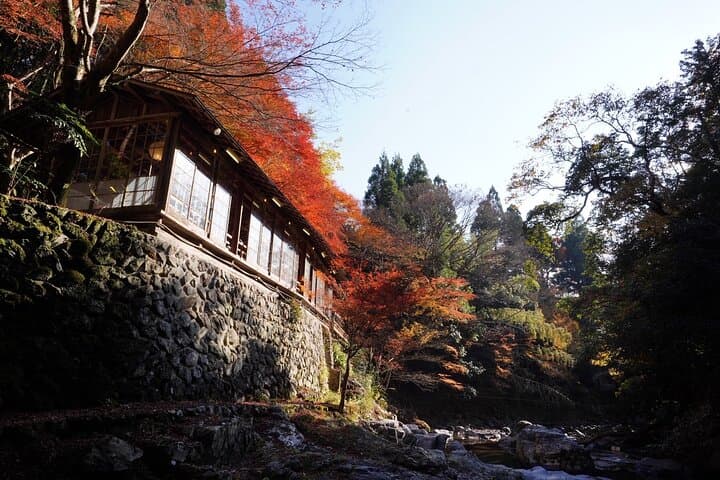 Kyoto Hidden Riverside Zen Mediation and Uji Matcha Experience — photo 8