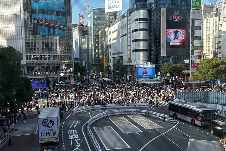 Exclusive One-Day Tokyo Private Walking Tour with Expert Guide — photo 16