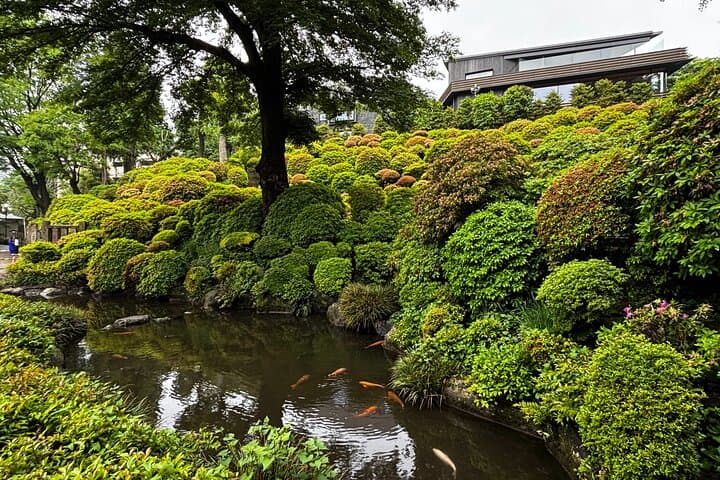 Exclusive One-Day Tokyo Private Walking Tour with Expert Guide — photo 18