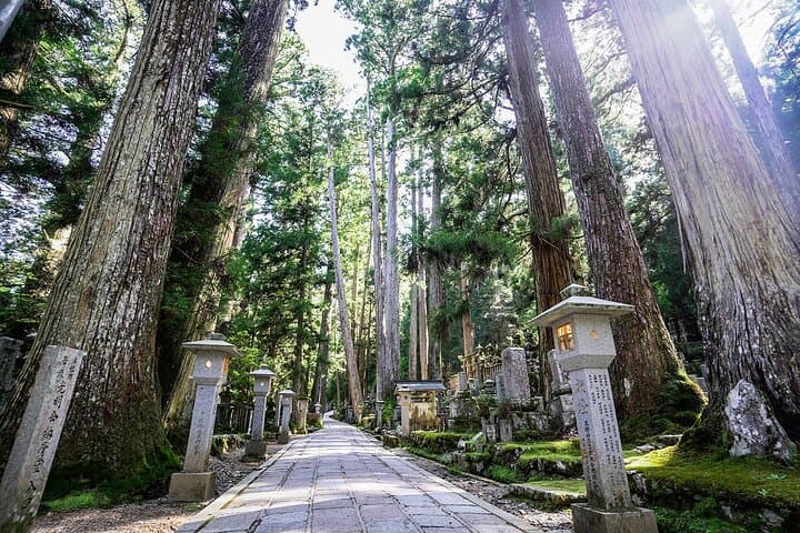 Koyasan Day Trip by Private Car from Osaka — photo 3