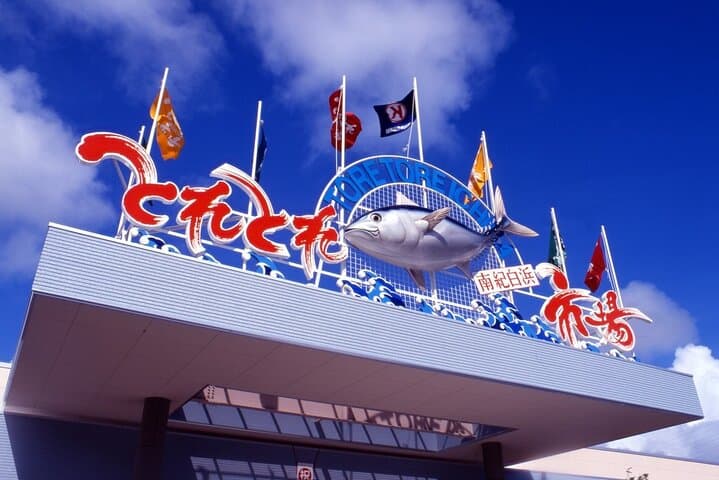 Osaka Wakayama Cat Train, Seafood market, Hot Springs Tour — photo 10
