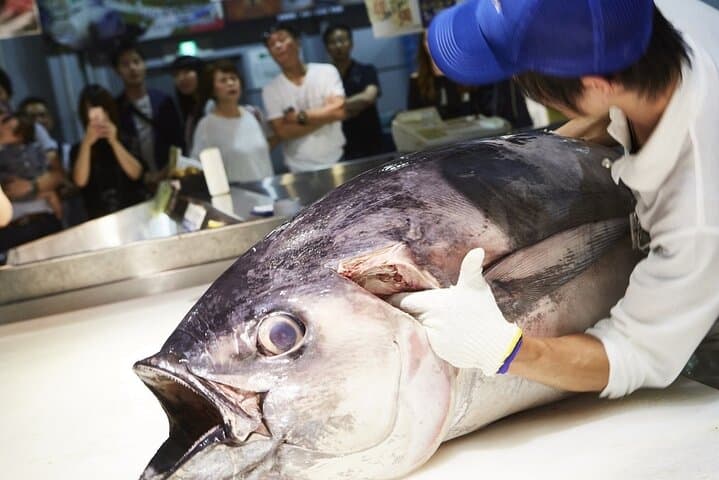 Osaka Wakayama Cat Train, Seafood market, Hot Springs Tour — photo 8
