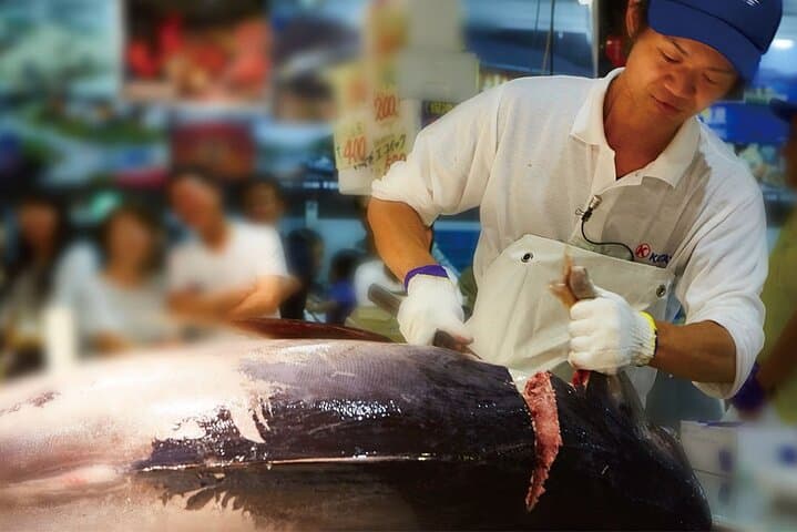 Osaka Wakayama Cat Train, Seafood market, Hot Springs Tour — photo 12