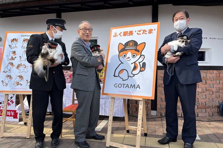 Osaka Wakayama Cat Train, Seafood market, Hot Springs Tour — photo 6