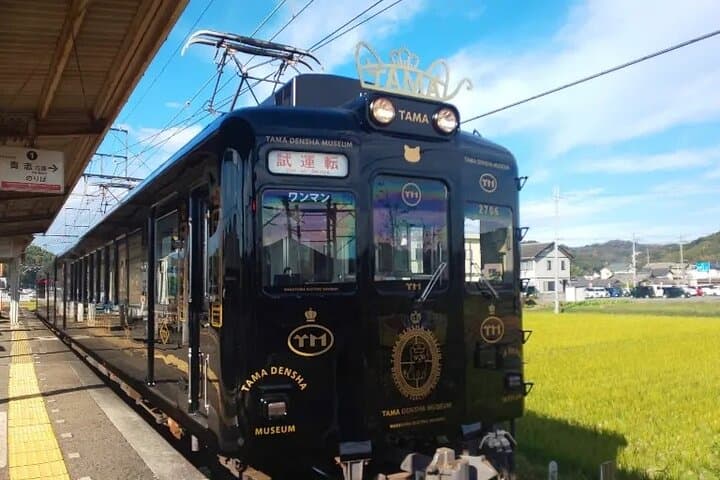 Osaka Wakayama Cat Train, Seafood market, Hot Springs Tour — photo 4
