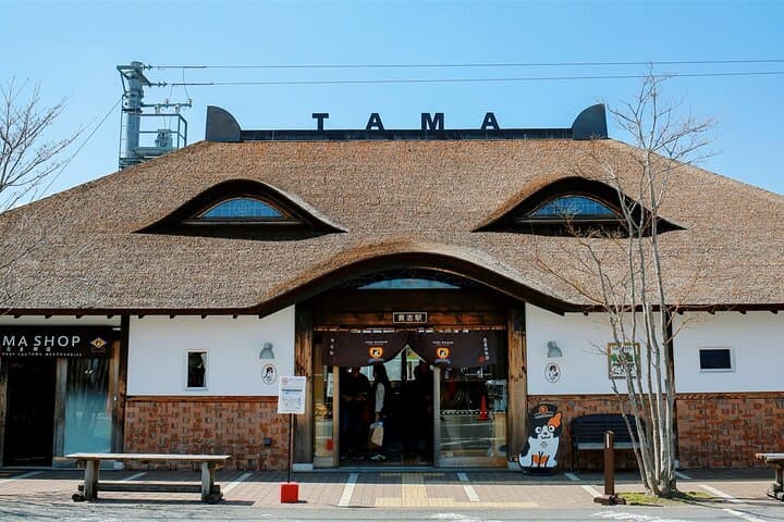 Osaka Wakayama Cat Train, Seafood market, Hot Springs Tour — photo 7